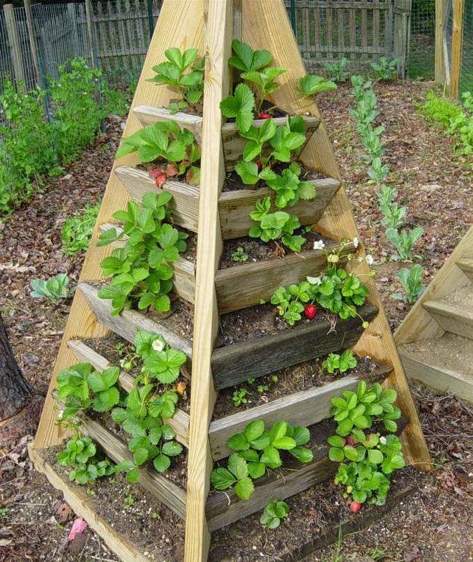 Great space saving design. Popular idea for square foot gardeners 