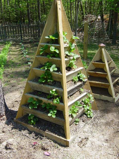 How to build a pyramid strawberry planter. DIY plans.