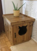 How to build a litter box enclosure