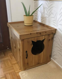 Litter box enclosure features boxed top for house plants
