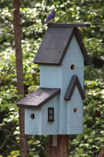 Condo Birdhouse Plans