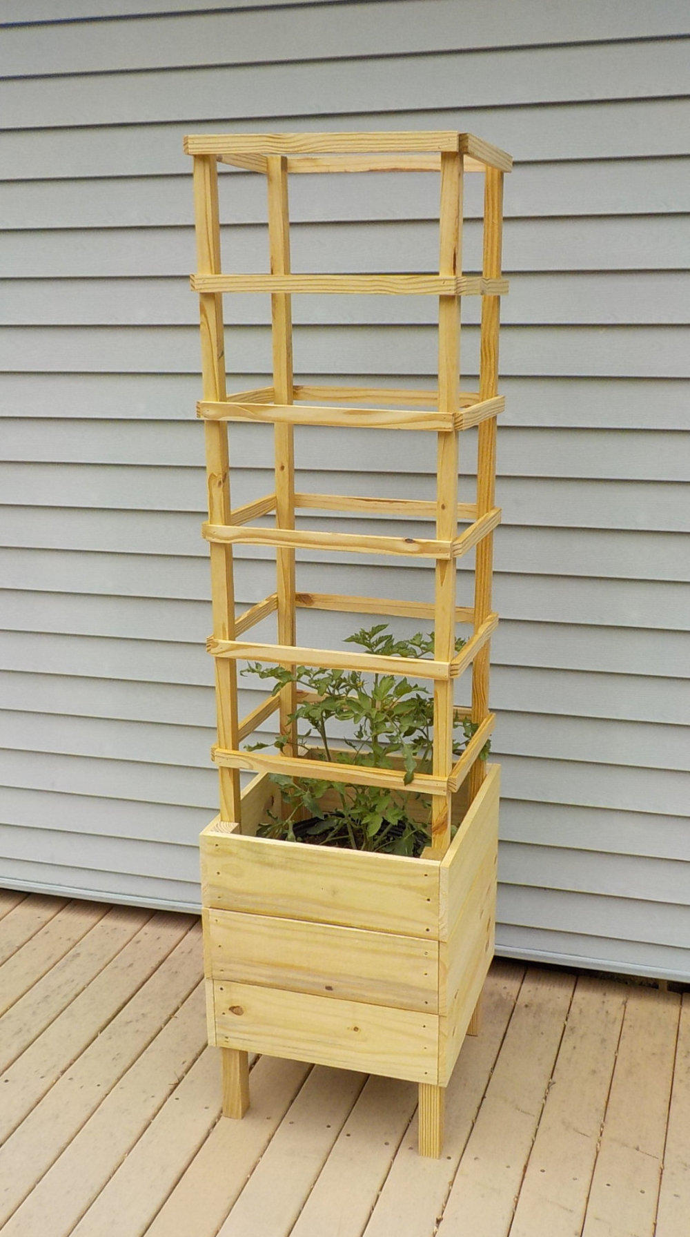 konsulent lejer disharmoni How to Build a Tomato Planter for Your Deck DIY Wood Plans