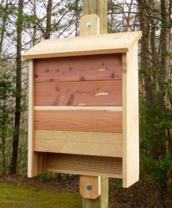 Bat house made out of cedar